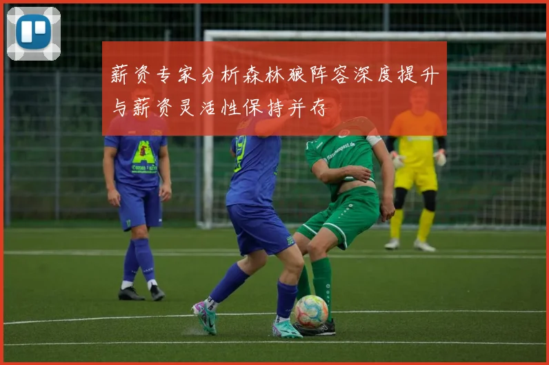 薪资专家分析森林狼阵容深度提升与薪资灵活性保持并存
