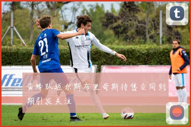 黄蜂队迈尔斯布里奇斯待售合同到期引发关注